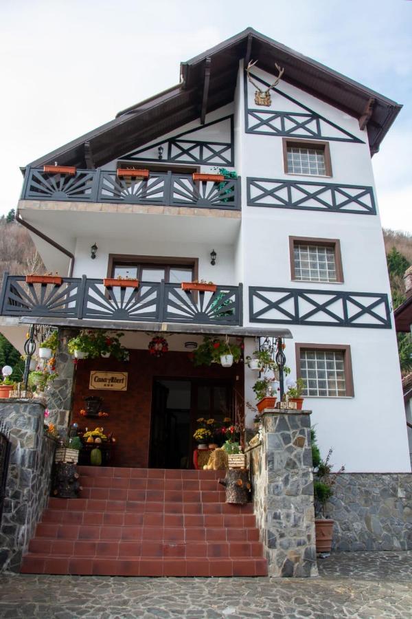 Casa Albert Sinaia Buitenkant foto